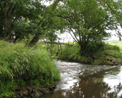 Aberwick Ford Footbridge and ford.