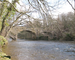 Acklington Park (Guyzance) Bridge