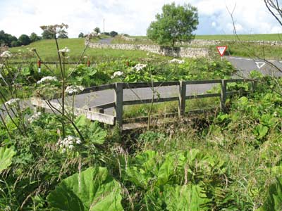 Alnham East Bridge