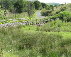 Alnham East Bridge looking east
