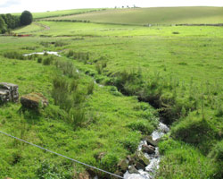 From Alnham Bridge looking southeast down the River Aln