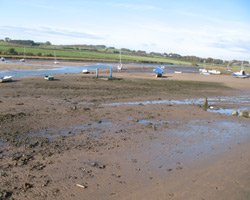Alnmouth Estuary