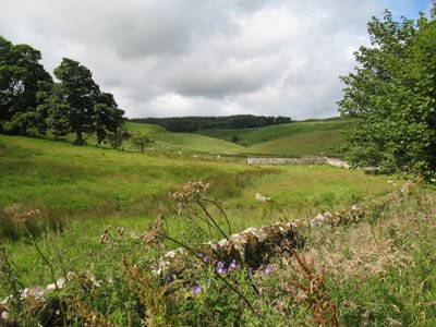 View north from Alnham church