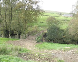 Ashgillside Footbridge looking west