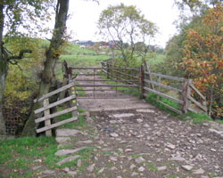 Ashgillside Footbridge looking west