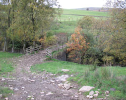 Ashgillside Footbridge looking west