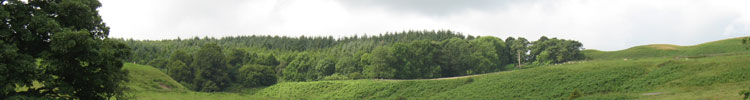 Hills near Alnham