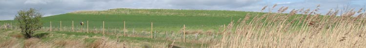 Near Cocklaw Wells