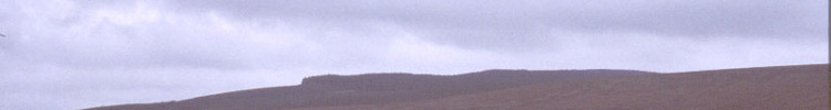Bells Moor near Deadwater
