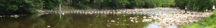 Stepping Stones at Stanhope