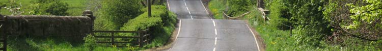 Trewick Bridge