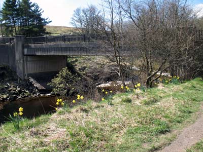 Blackdene Mine Bridge from north east