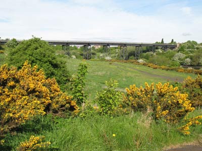 Bedlington Railway Viaduct looking west