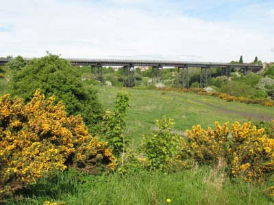 Bedlington Viaduct looking west;