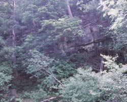 Gibraltar Rock on Beldon Burn
