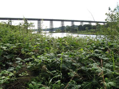 Black Bridge railway viaduct