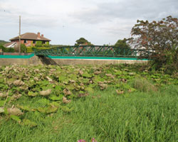 Blackhall Mill footbridge