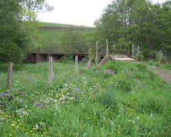 Bleagate footbridge