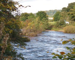 Border Counties Bridge - stumps of piers in river at centre
