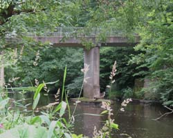 Bothal Mill Bridge