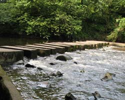 Bothal Stepping stones