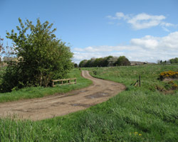 Bradford House Bridge