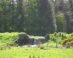 Bradford Weir