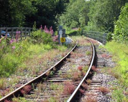Broadwood Railway Bridge
