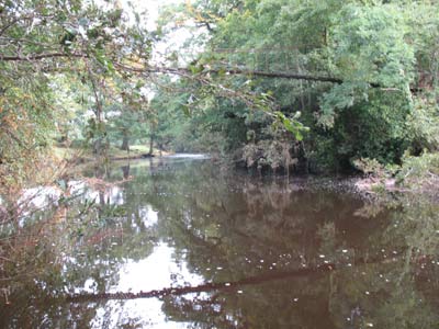 Brinkburn Footbridge