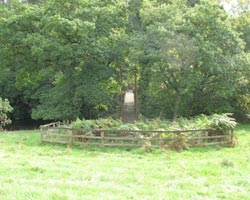 Brinkburn Footbridge is inaccessible to the public
