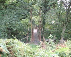 Brinkburn Footbridge