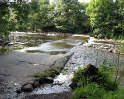 Broadwood Ford