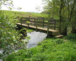 Broom House Footbridge looking south
