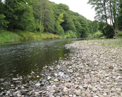 River Wear at Low Butterby