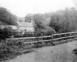 Old photograph of first Butterfly Bridge