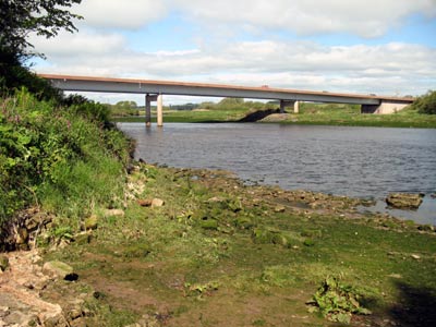 Berwick A1 Bridge from southeast