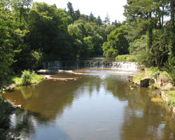Weir near Canongate Bridge