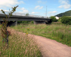 Cardrona Bridge
