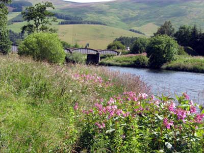 Cardrona Railway Bridge