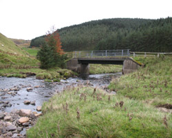 Carshope Bridge looking downstream
