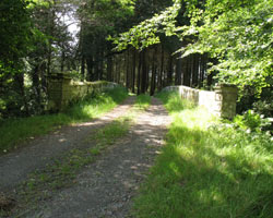Catheugh Bridge Hulne Park