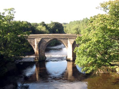 Chester New Bridge