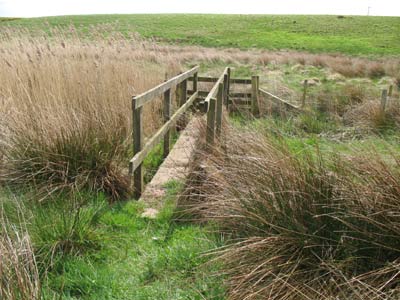 Cocklaw Walls Footbridge looking south