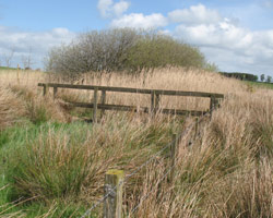 Cocklaw Walls Footbridge looking east