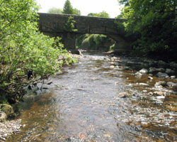Coronation Bridge from the west