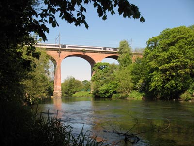 Croxdale Viaduct from the west