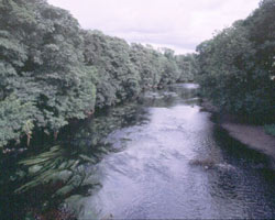 View east from Dinsdale Bridge