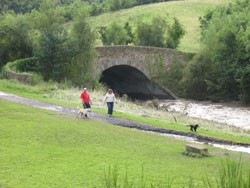 Derwent Park Bridge