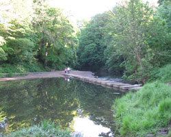 East Hartford stepping stones looking north