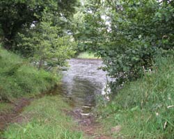 Elyhaugh Ford